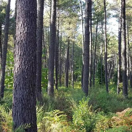 - Piscine - Ef0aae Porto Vecchio