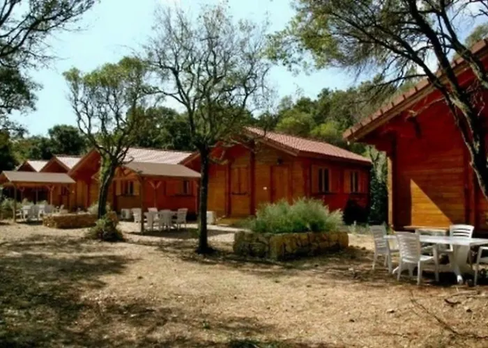 Campingplatz - Piscine - Ef0aae Porto-Vecchio (Corsica)