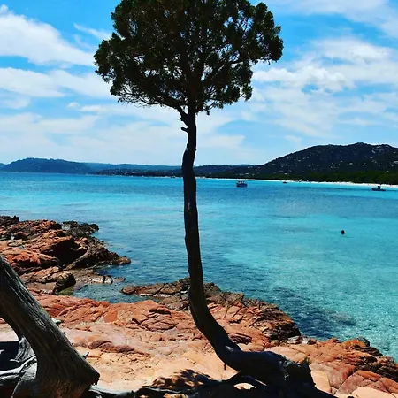 Kemping - Piscine - Ef0aae Porto-Vecchio (Corsica)