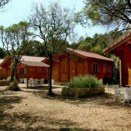 Camping - Piscine - Ef0aae Porto-Vecchio (Corsica)