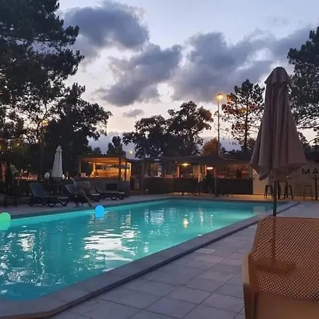 Zecamping 3 Etoiles Animaux Acceptes Piscine Et Aire De Jeux Campsite *