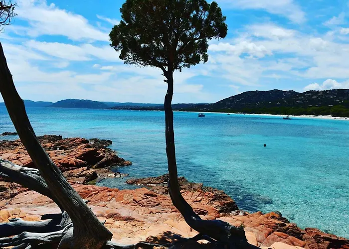 Camping - Piscine - Ef0aae Porto-Vecchio (Corsica)