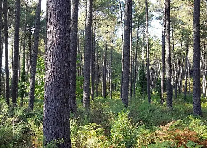 - Piscine - Ef0aae Porto-Vecchio (Corsica)