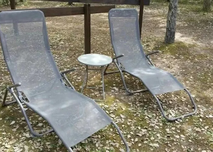 Campsite Zecamping 3 Etoiles Animaux Acceptes Piscine Et Aire De Jeux Porto-Vecchio (Corsica)