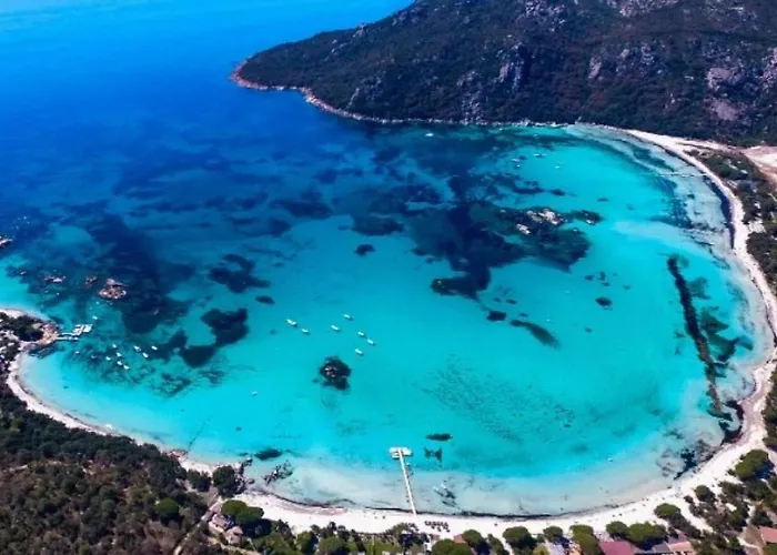 Zecamping 3 Etoiles Animaux Acceptes Piscine Et Aire De Jeux Campsite Porto-Vecchio (Corsica)