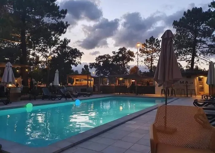 Zecamping 3 Etoiles Animaux Acceptes Piscine Et Aire De Jeux Campsite *